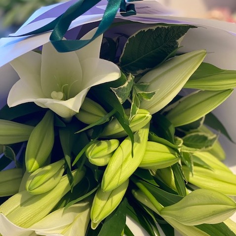 Lilies en masse